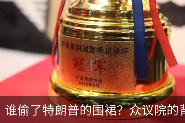 谁偷了特朗普的围裙？众议院的背叛与即将来临的波澜